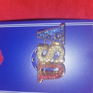 🌞USA bling pin